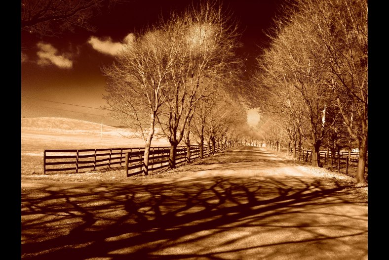 End of the Road